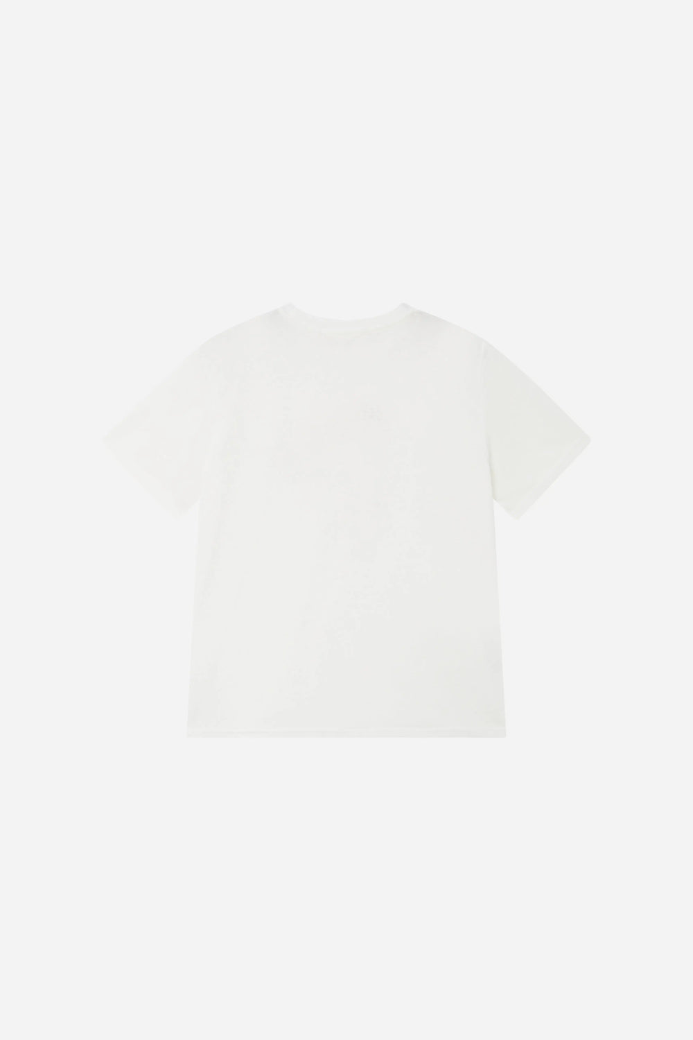 An image of a   21691 Graphic Pony Tee by  Mirra Masa
