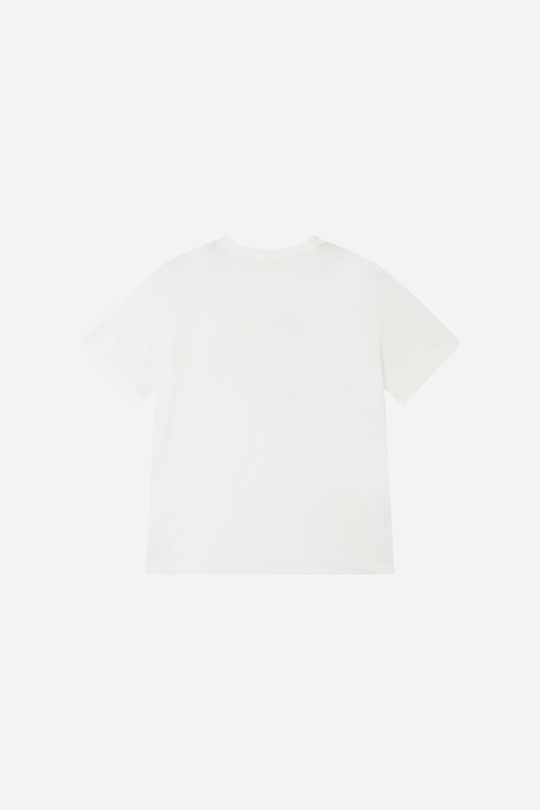 An image of a   21691 Graphic Pony Tee by  Mirra Masa