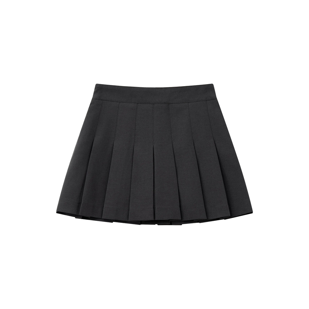 An image of a  Gray / Large 32840 Pleated Mini Skirt by  Mirra Masa