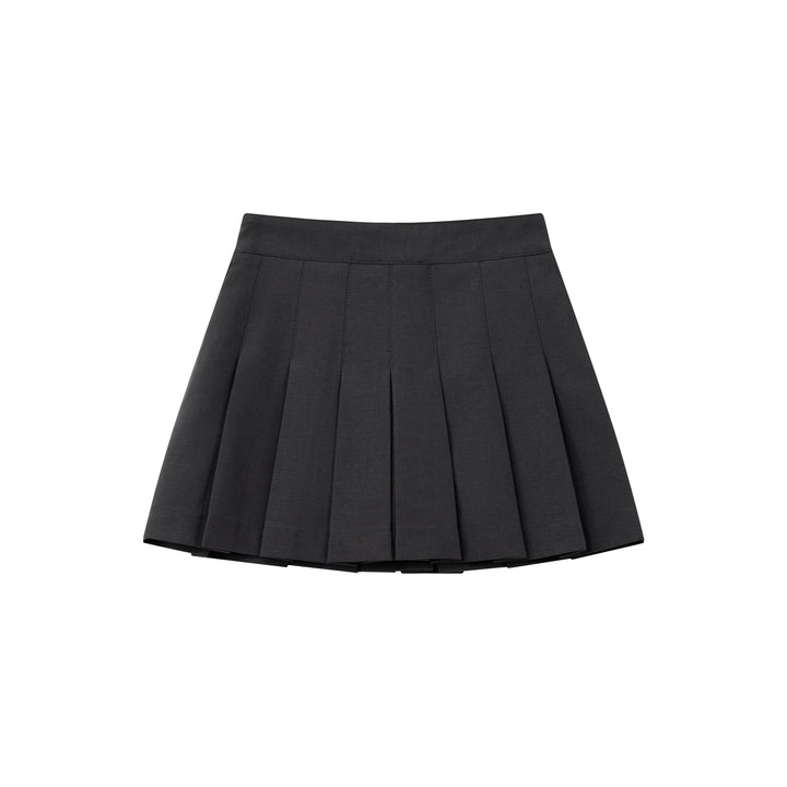 An image of a  Gray / Large 32840 Pleated Mini Skirt by  Mirra Masa