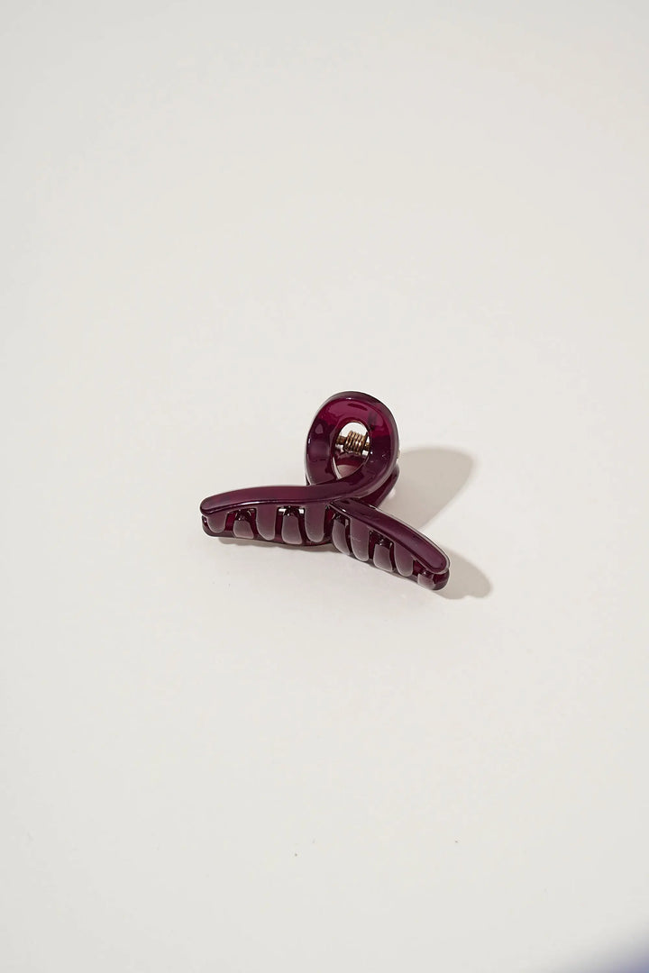 An image of a   Loop Glossy Mini Hair Claws by  Mirra Masa