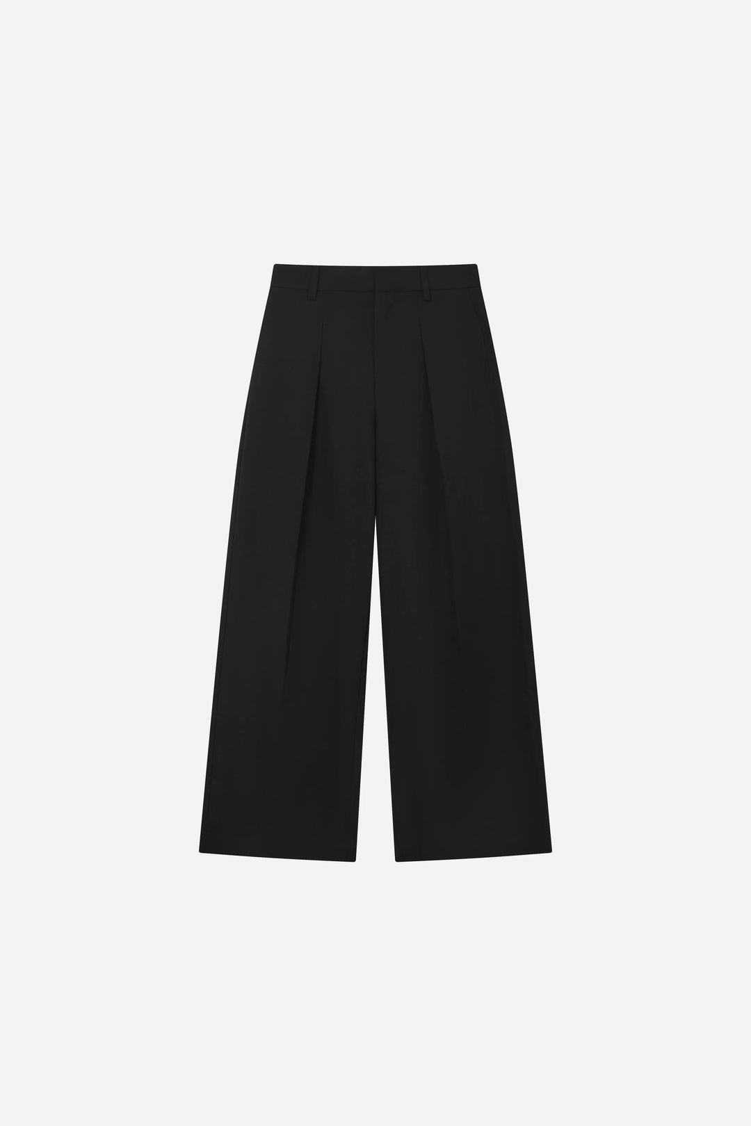 An image of a   S12804 Pleated Wide Leg Pants by  Mirra Masa