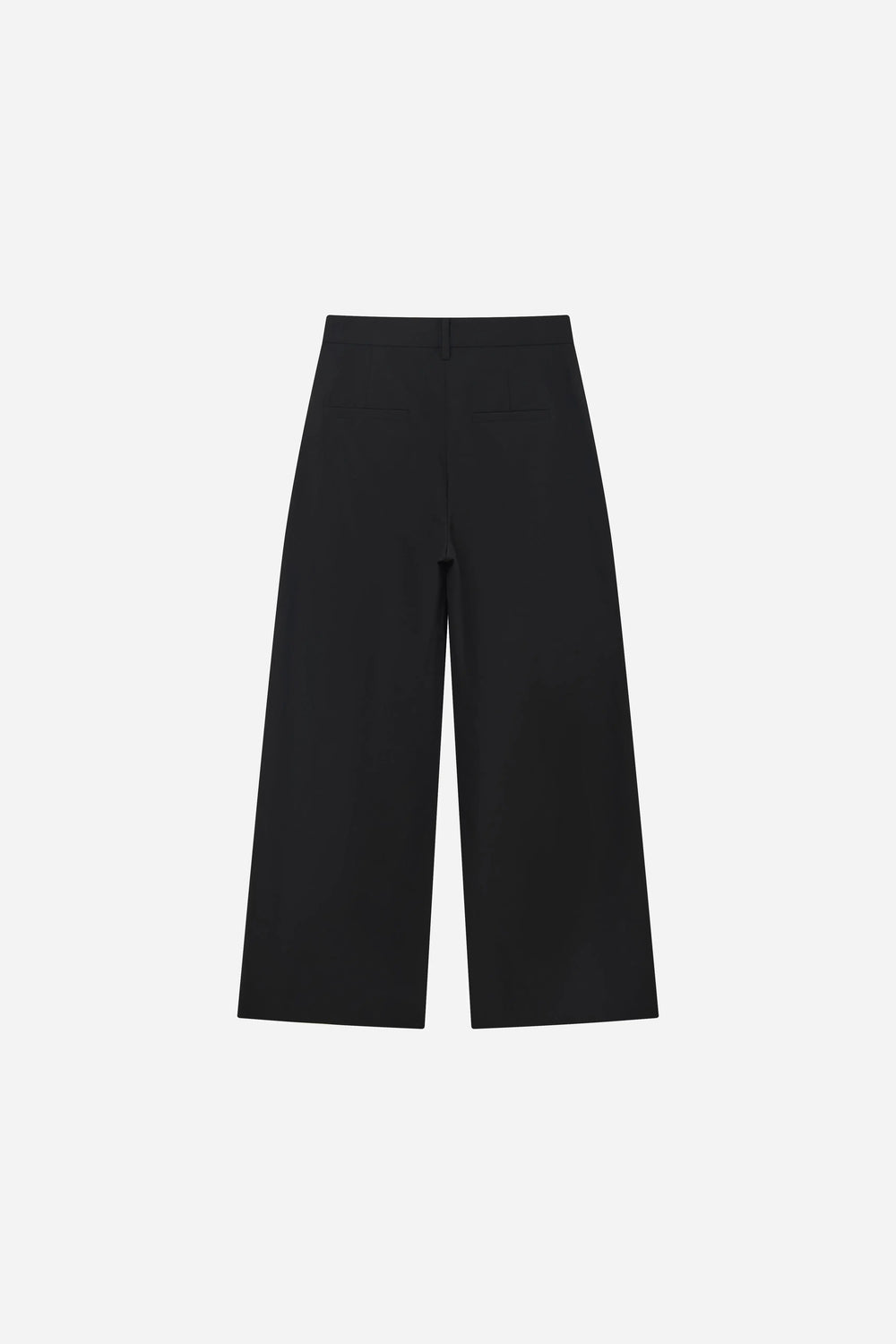 An image of a   S12804 Pleated Wide Leg Pants by  Mirra Masa