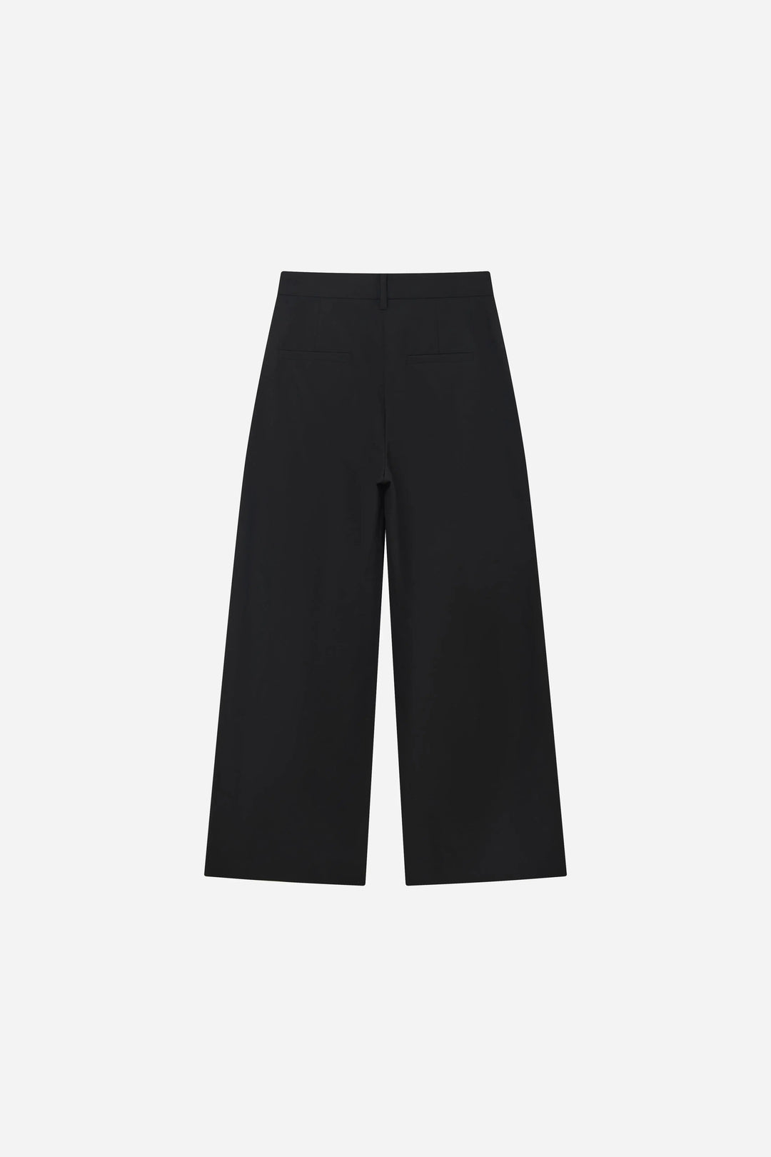 An image of a   S12804 Pleated Wide Leg Pants by  Mirra Masa